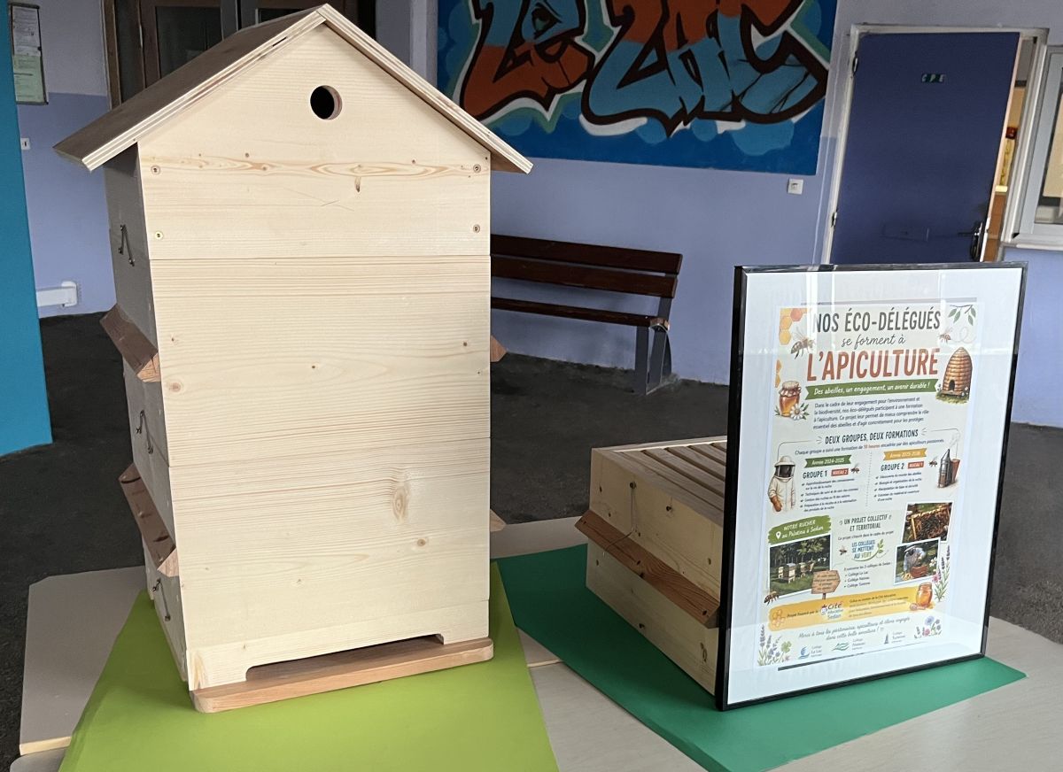 Projet d'apiculture du collège Le Lac de Sedan