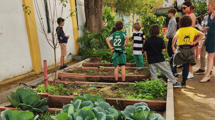Bati_scolaire_andalousie-2