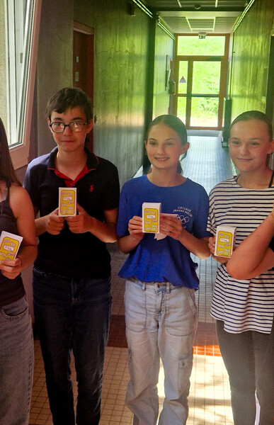 Jeu des sept villages inventé par les élèves 5e SEGPA du collège Jeanne Mélin de Carignan (08)